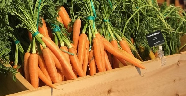 Bunched Carrots (cropped)